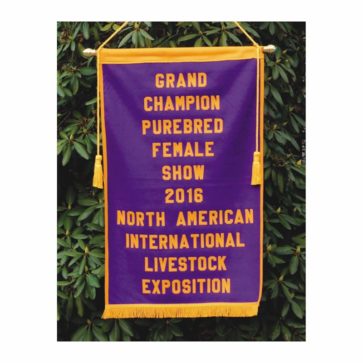 Sewn Felt Banner (24″ x 40″)